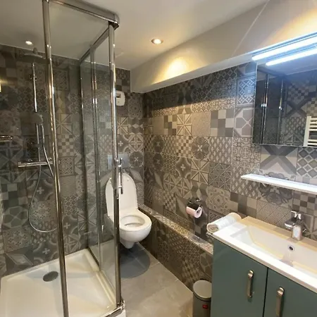 Bel Moderne Au Coeur De Grenoble