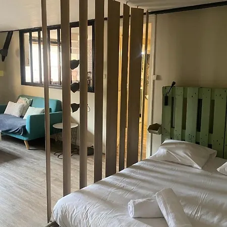 Bel Moderne Au Coeur De גרנובל