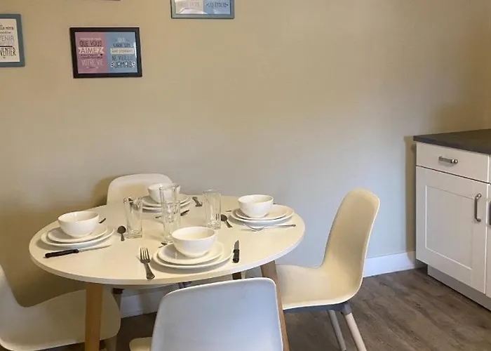 Bel Moderne Au Coeur De Appartement Grenoble